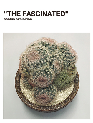 about “FASCINATED”